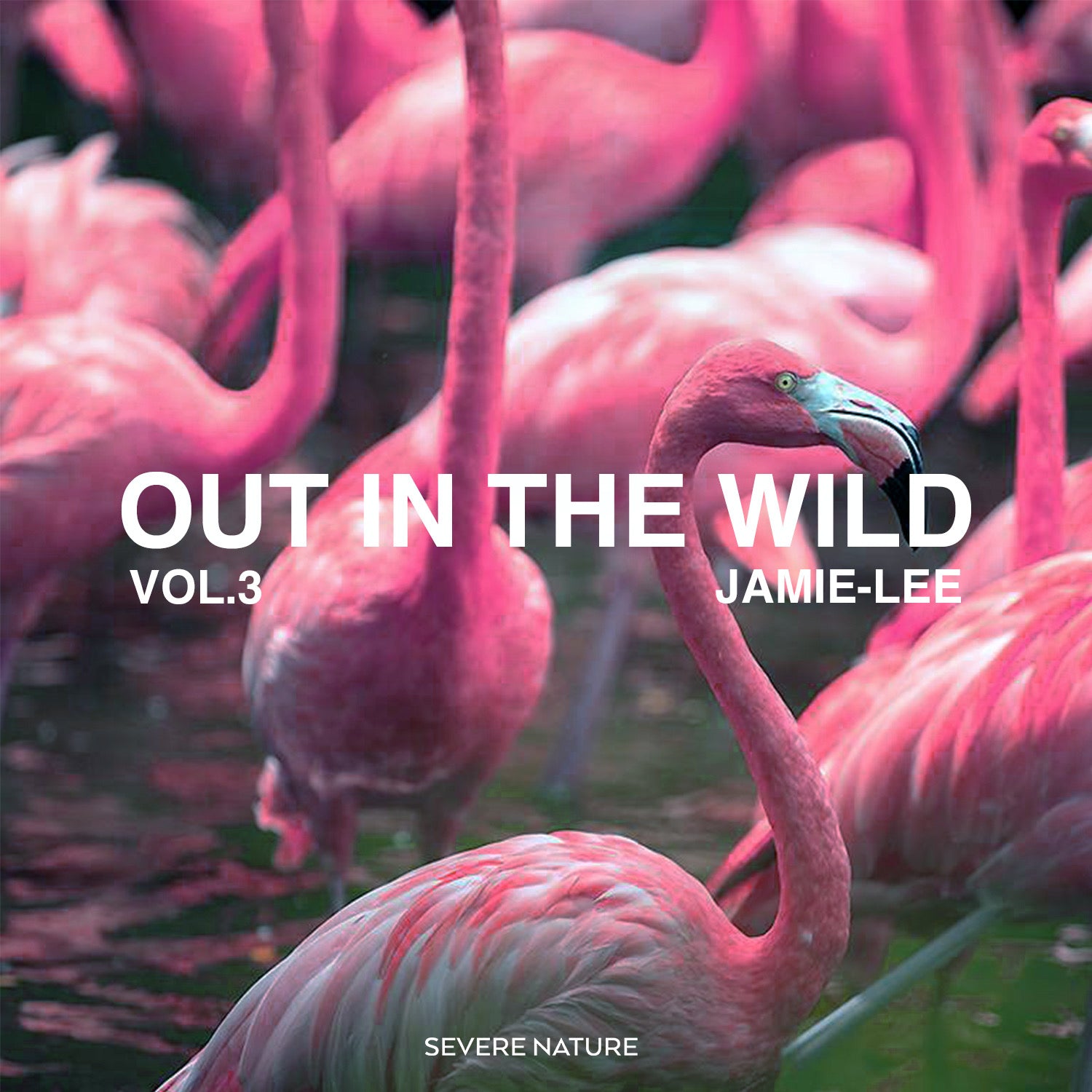 Out In The Wild Vol. 3 Cuated by Jamie-Lee