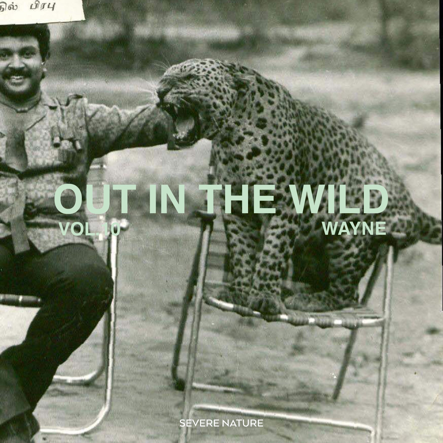 Out In The Wild Vol 10. Curated by Wayne