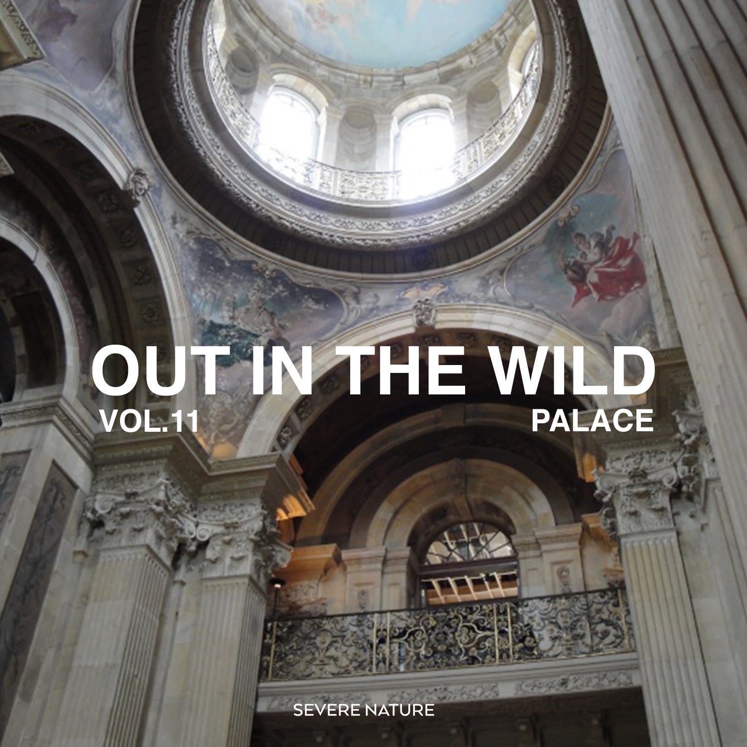 Out In The Wild Vol. 11 Curated by Palace