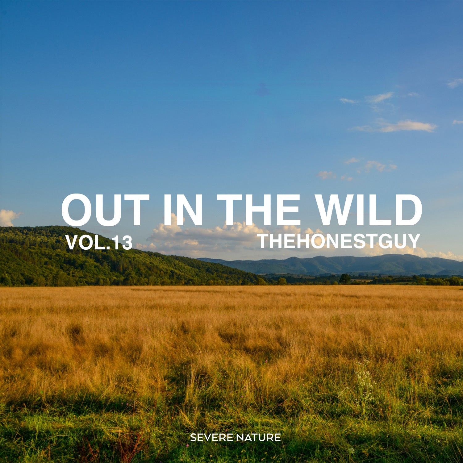 Out In The Wild Vol. 13 Curated by TheHonestGuy