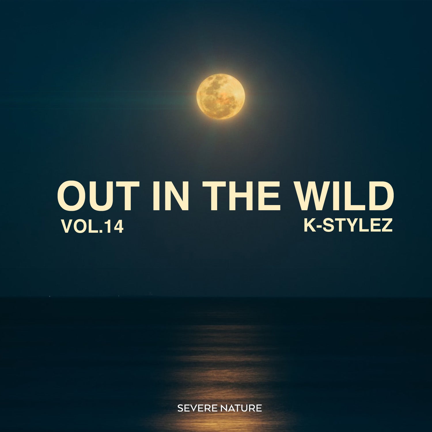 Out In The Wild Vol. 14 Curated by K-Stylez