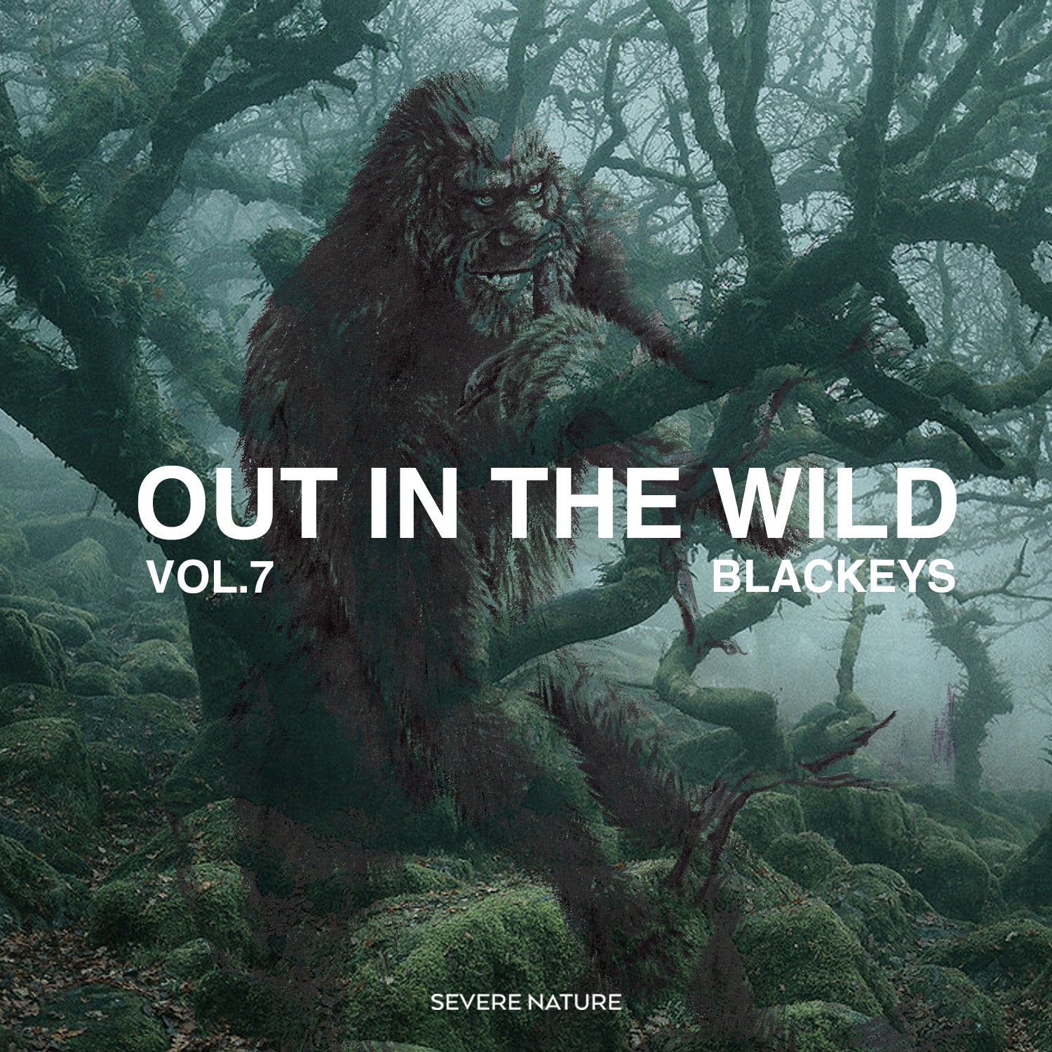 Out In The Wild Vol. 7 Curated by Blackeys